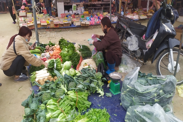 Giá cả thị trường ngày 29/05/2025