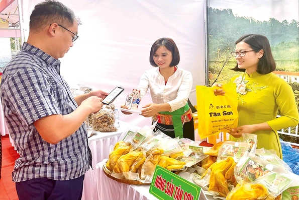 Giá một số mặt hàng ngày 28/5/2025