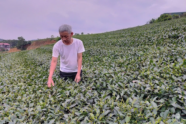 Nâng cao thu nhập cho người dân