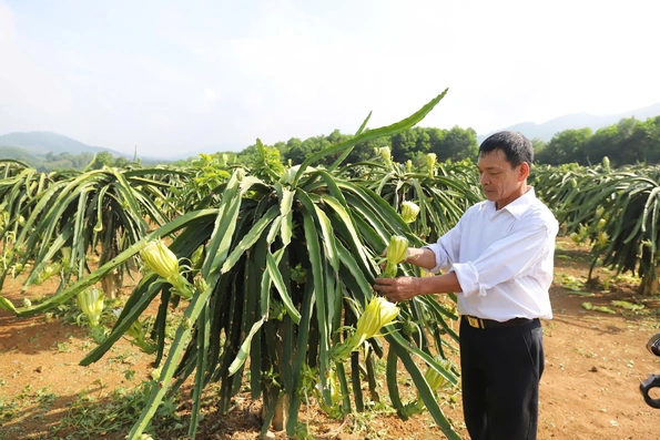 Những cựu chiến binh xung kích trên trận tuyến mới