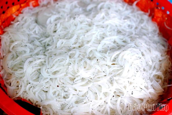Cá ngần - “Ngọc tuyết” sông Đà