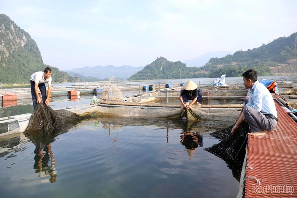Mường Hoa khai thác lợi thế lòng hồ Hòa Bình