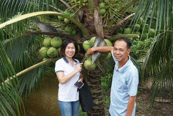 Độc đáo dự án “Cây dừa cho bạn – Tấm lòng trao đi”