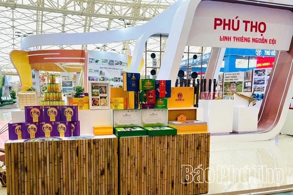 Tinh bột nghệ Nhưng Vần - Từ xứ Mường vươn ra thế giới