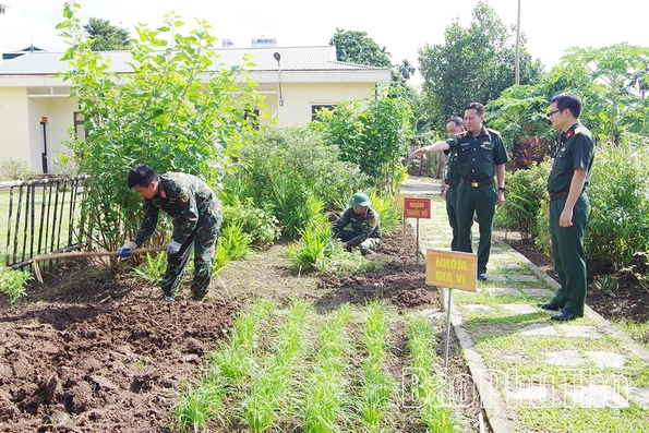 Tích cực tăng gia sản xuất, góp phần nâng cao đời sống bộ đội