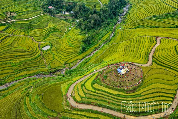 Mùa lúa chín Miền Đồi - điểm hẹn văn hóa Mường