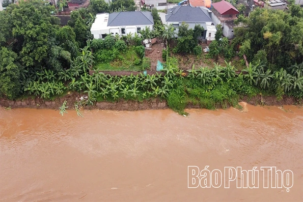 Đề nghị công bố tình huống khẩn cấp do sạt lở nghiêm trọng tại 2 xã Hiền Quan, Tam Nông