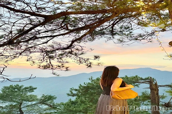 Tam Dao in the Gentle Glow of Sunset