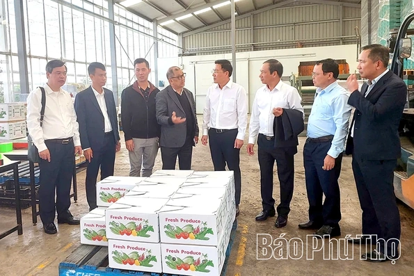 Đoàn công tác tỉnh Phú Thọ thăm và làm việc với các doanh nghiệp tiêu biểu tại Melbourne, Úc