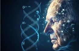 Phát triển thành công một công cụ xác định tuổi dựa trên ADN