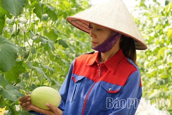 Đồng hành cùng phụ nữ khởi nghiệp