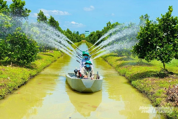 Đồng Tháp tiên phong tái cơ cấu nông nghiệp, nâng thu nhập cho nông dân