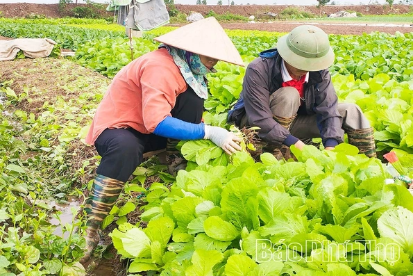 Nâng tầm nông sản bằng&nbsp;tư duy và&nbsp;công nghệ xanh