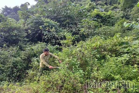 Động lực để cộng đồng bảo vệ và phát triển rừng