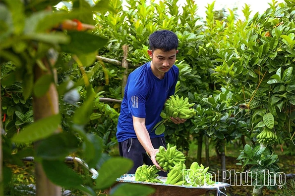 Những miền quê trù phú ven sông Hồng