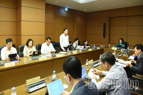 Thảo luận tại Tổ về các Dự án Luật