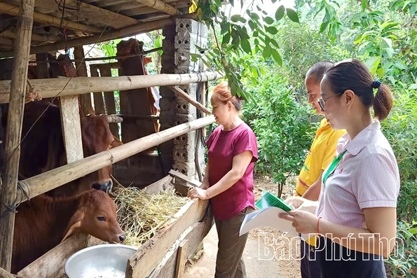 Đồng hành cùng người nghèo