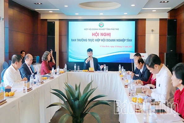 Hiệp hội Doanh nghiệp tỉnh họp Ban Chấp hành lần thứ Nhất