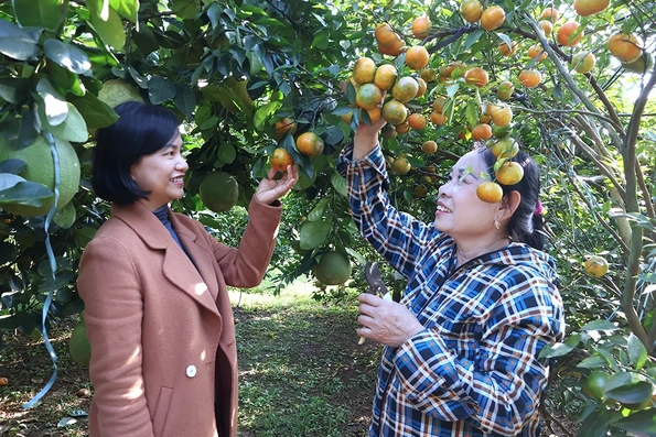 Phát huy hiệu quả từ nguồn vốn tín dụng chính sách