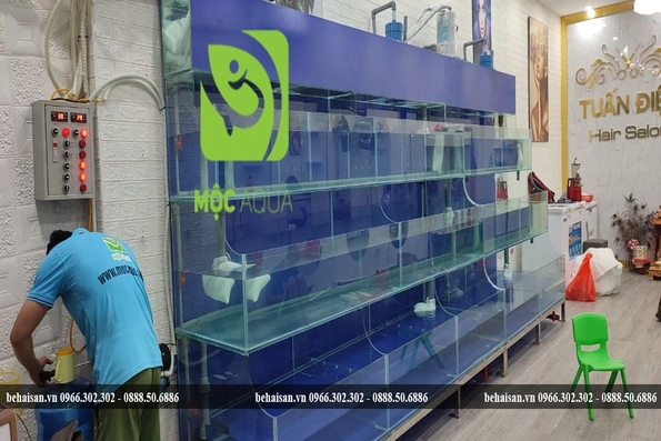 Lắp đặt bể hải sản theo yêu cầu ở đâu uy tín, giá tốt?