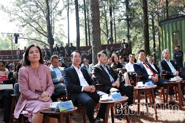 Flamingo Holdings kỷ niệm 10 năm hành trình nghệ thuật trong rừng