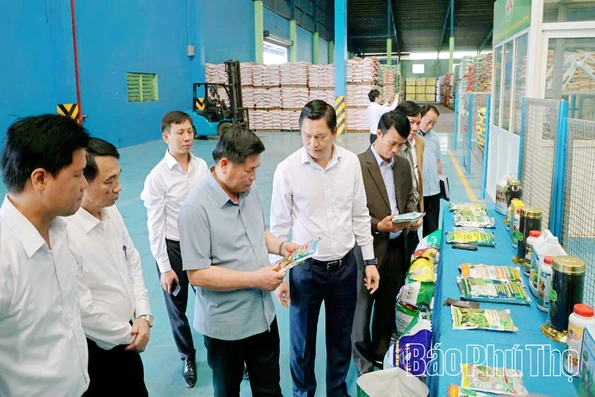 Đẩy mạnh sản xuất nông nghiệp tuần hoàn, nông nghiệp hữu cơ