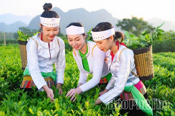 Chìa khóa nâng vị thế nông sản