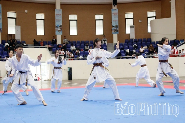 175 võ sinh, HLV đạt chuẩn tại Kỳ thi thăng đẳng cấp Quốc gia môn Karate năm 2025