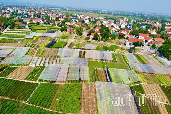 Lợi thế vụ Đông