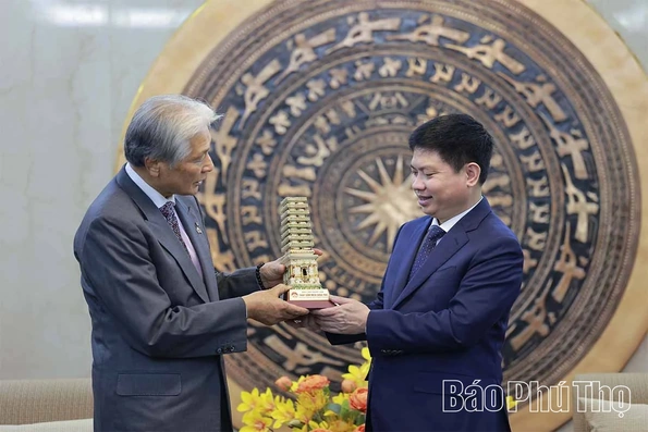 Bí thư Tỉnh ủy Trương Quốc Huy tiếp xã giao Đoàn công tác tỉnh Tochigi, Nhật Bản