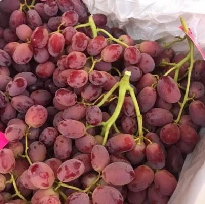 Giá cả thị trường ngày 15/12/2025