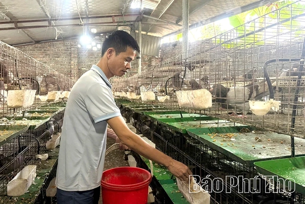 Liên Hòa hành động cụ thể đưa nghị quyết của Đảng vào cuộc sống