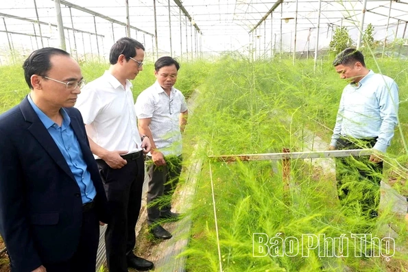 Xã Hoàng An tiếp đoàn chuyên gia tư vấn phát triển khoa học, công nghệ