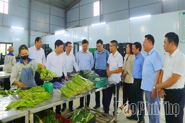 Điểm tựa vững chắc cho nông nghiệp và nông thôn mới