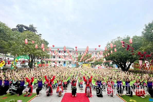 174 học sinh Trường Tiểu học Tân Dân đạt giải Toán tư duy Bebras 2025