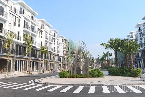 Palm Manor đã hoàn thiện 258 căn nhà