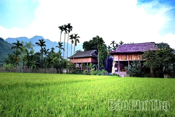 Hấp dẫn du lịch cộng đồng bản Thái Mai Châu