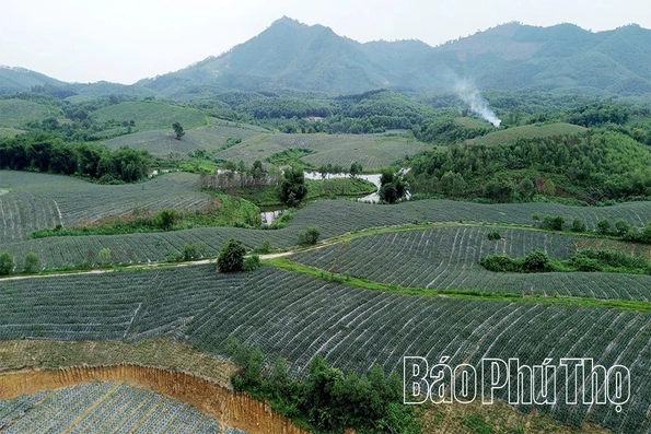 “Đánh thức” mầm xanh