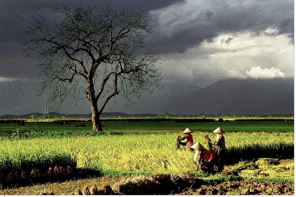 Hồn Việt qua ống kính nhiếp ảnh của nghệ sĩ Đất Tổ