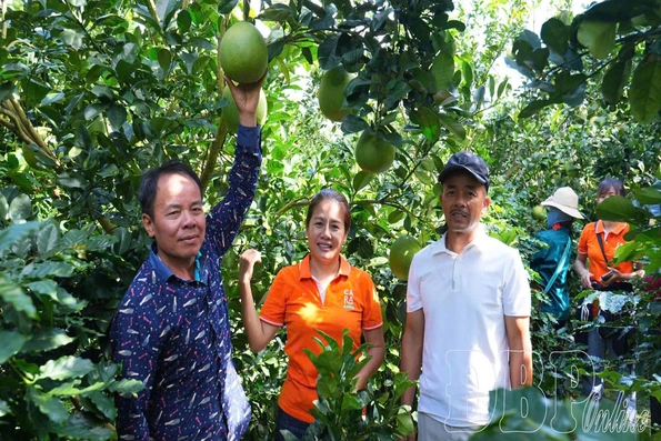 Điểm đến xanh trong tương lai