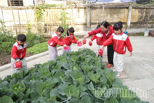 Chú trọng giáo dục ý thức bảo vệ môi trường cho trẻ mầm non