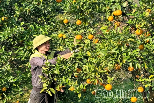 Yên Kỳ đẩy mạnh phong trào thi đua yêu nước