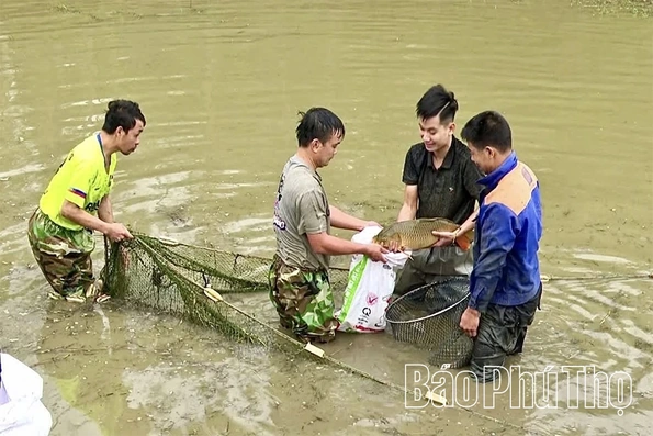 Hướng đi bền vững nâng cao thu nhập cho nông dân