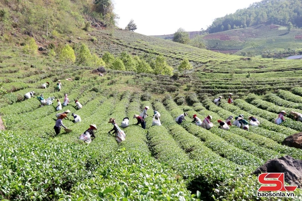 Khám phá du lịch Bình Thuận