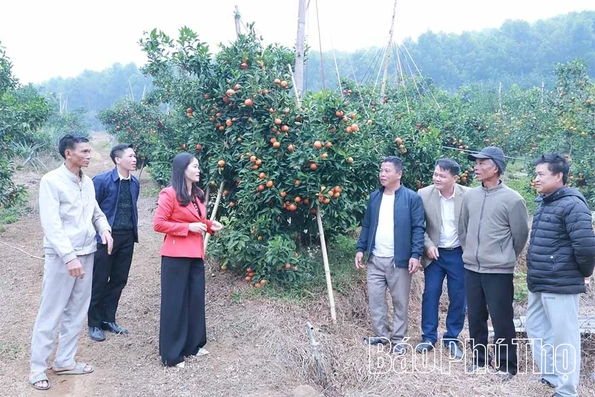 Tỷ lệ hộ nghèo toàn tỉnh giảm còn 2,68%