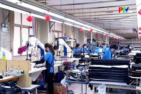 Phu Tho News on January 30, 2026