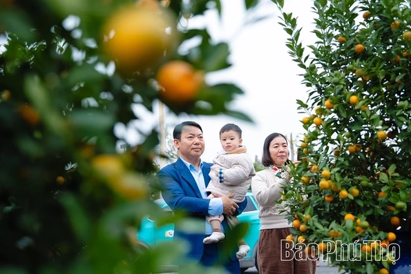 A Bustling Market for Tet Flowers