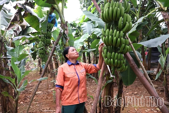Lai Đồng phát triển nông nghiệp hàng hóa gắn với du lịch cộng đồng