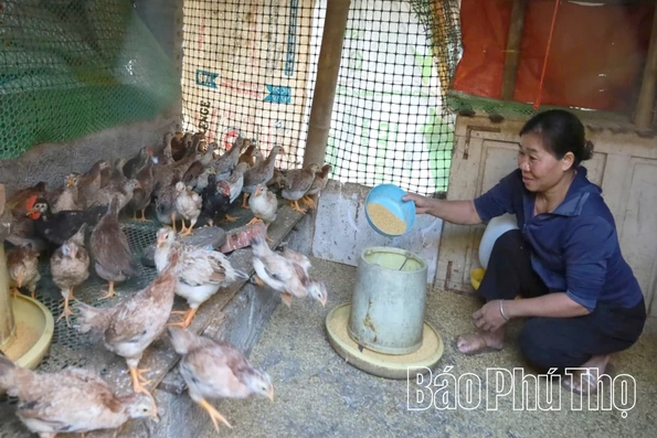 Hiệu quả chính sách dân tộc ở xã Kim Bôi