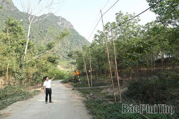 Nỗi lo điện yếu ở xã An Bình